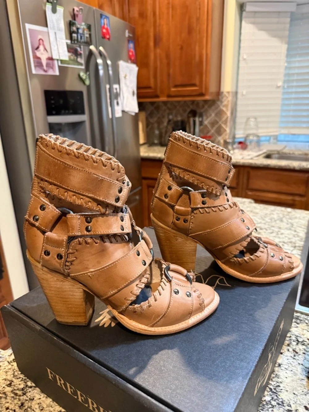 Freebird Rapture - Picture 4 of 7